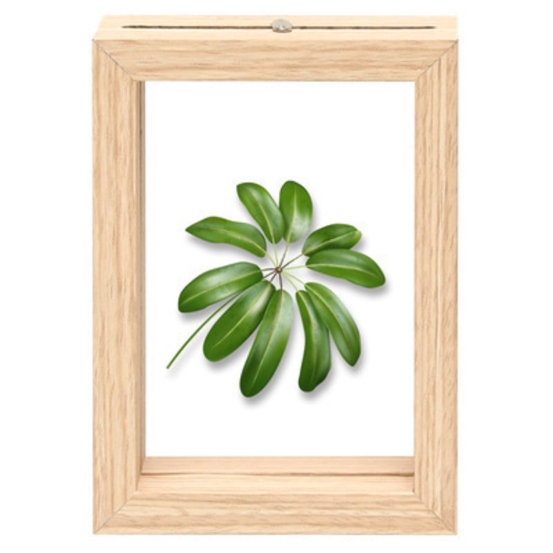 Fallen Fruits Small Palm Leaf Floating Frame